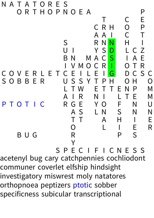 l05-wordsearch